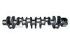 IVECO 99485949 Crankshaft